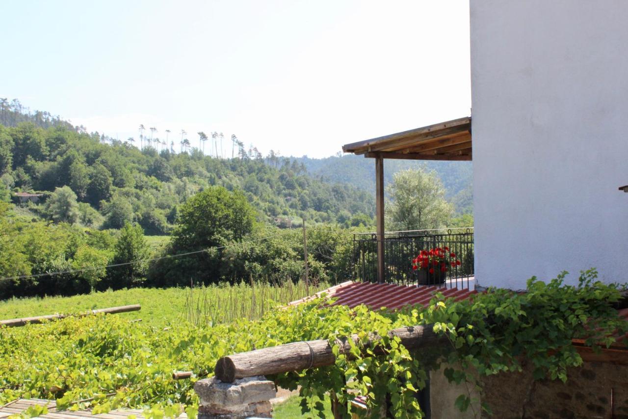 Agriturismo La Ferriera Pignone Kültér fotó
