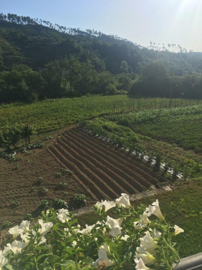 Agriturismo La Ferriera Pignone Kültér fotó